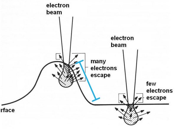 Edges of objects can appear to be brighter because electrons can be emitted not only from the top but the side, artificially making that part of the image brighter.