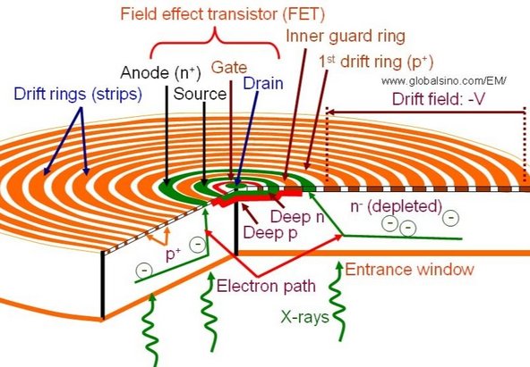 The XRF gun reads the energy levels of the x-ray photons using a Silicon Drift Detector (SDD).