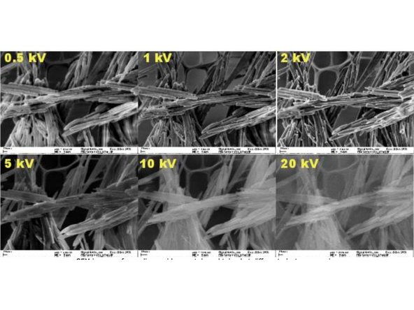 In order to generate a SEM image, there must be a variation in signal from the different parts of the specimen.