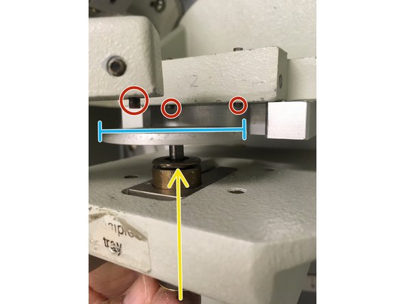 Set specimen on stage.