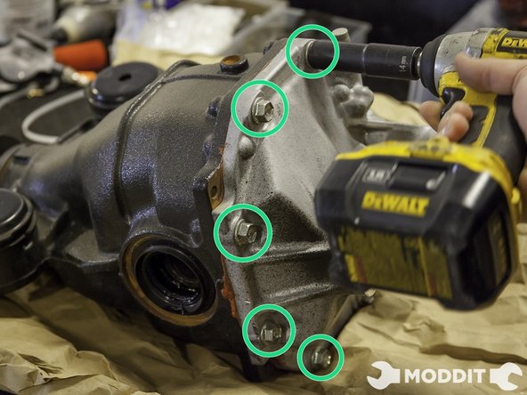 Proceed to remove all the 14mm Bolts securing the rear differential cover with a 14 mm socket.