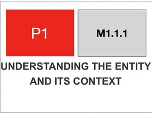 M1.1.1 - P1 -  UNDERSTANDING THE ENTITY AND ITS CONTEXT