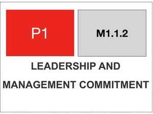 M.1.1.2 - P1 - LEADERSHIP AND MANAGEMENT COMMITMENT