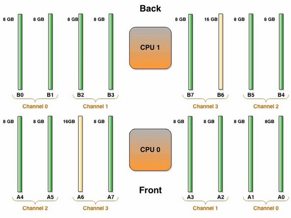Identify the DIMM and CPU from the image shown.
