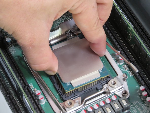 Lower the CPU directly onto its socket, as shown.