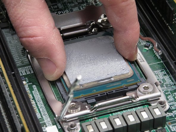 Lift the CPU away from its socket.
