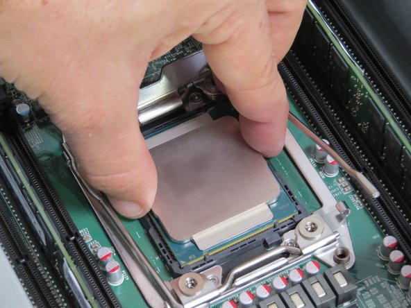 Lower the CPU directly onto its socket, as shown.