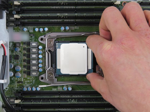 Lower the CPU directly onto its socket, as shown.