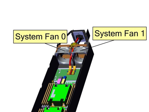 Use the image to identify the fans.