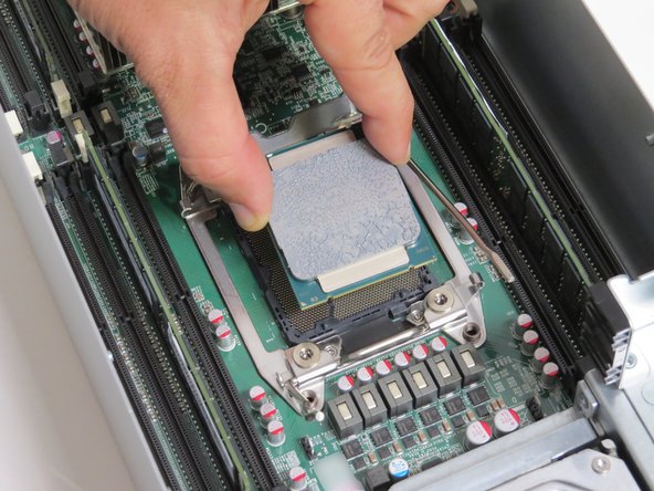 Grasp the CPU by its sides.