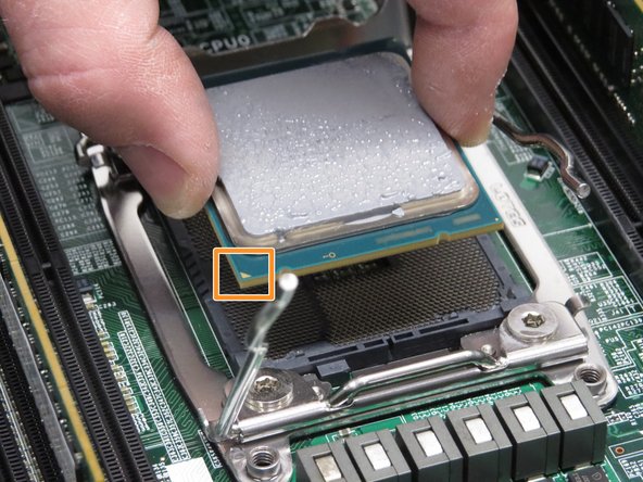Install the CPUs that were previously removed.