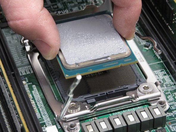 Lift the CPU away from its socket.