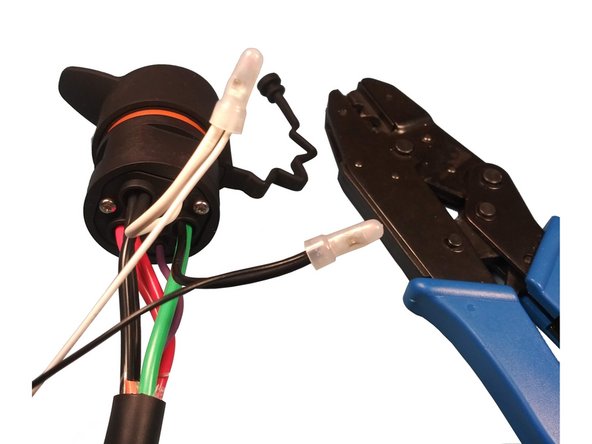 Remove the insulation off all BLACK and WHITE wires.