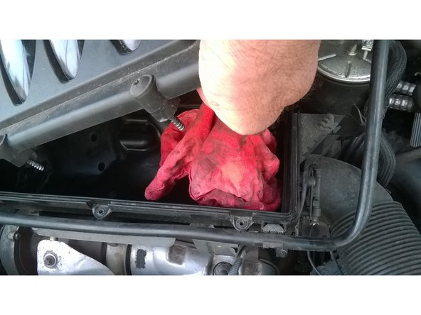 Nettoyer l'intérieur à l'aide d'un chiffon en coton humide et retirer tous les objets présents. (J'ai trouvé des feuilles mortes.)