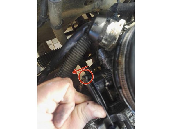 Tirez ensuite sur la gaine pour la dégager du support