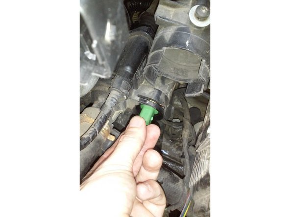 Retirer la sonde à la main en la bougeant de droite à gauche et de haut en bas en tirant dessus.