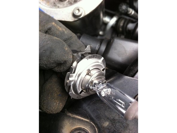 Enfoncez les pattes de la nouvelle ampoule dans la fiche.