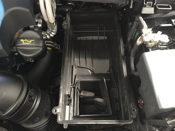 Installer le nouveau filtre