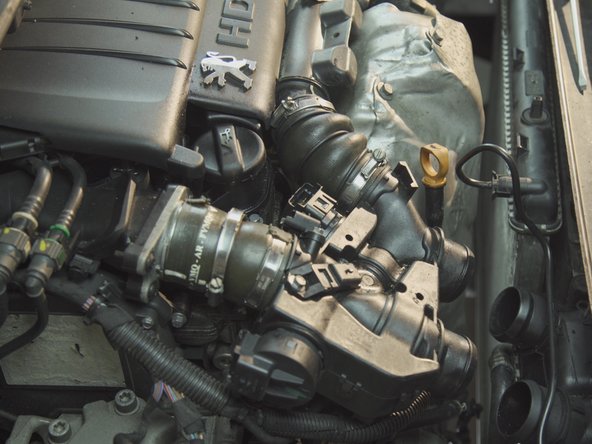 Desserrer les colliers des durites avec  un tournevis à collier de 7 ou un tournevis plat