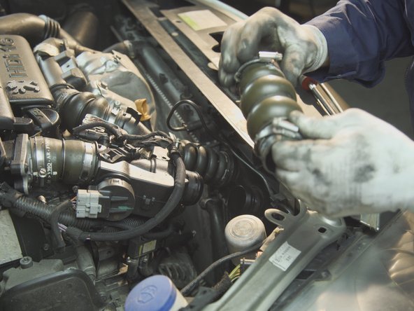 Tirer sur chaque extrémité  de la durite pour la retirer