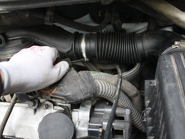 Desserrer les deux colliers de serrage à l'aide d'un tournevis plat.