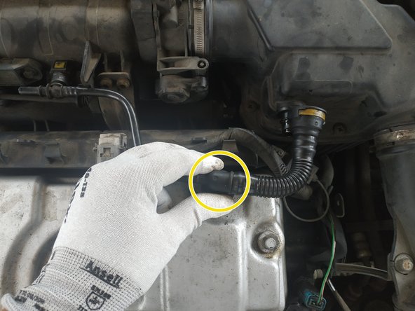 
then the one that goes to the cylinder head cover
