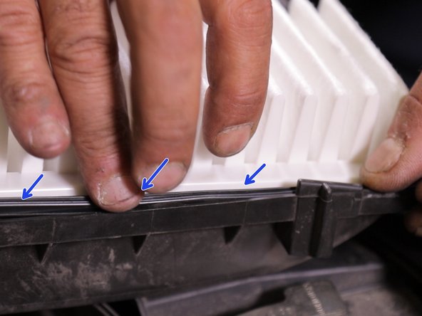 Appuyez sur le joint tout au tout du filtre