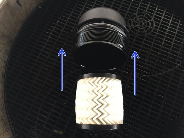 Instaler le nouveau filtre dans la cloche