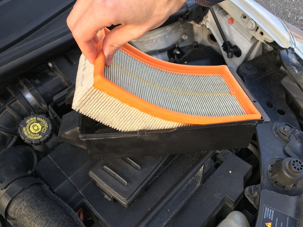 Enlevez les petits déchets qui trainent au fond du bac, ou de l'emplacement du bac (feuilles, insectes)