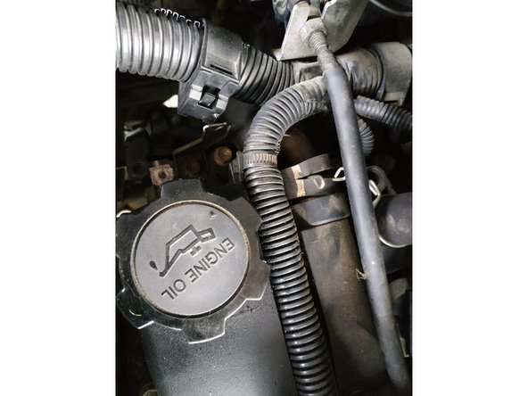 remettre le collier en place