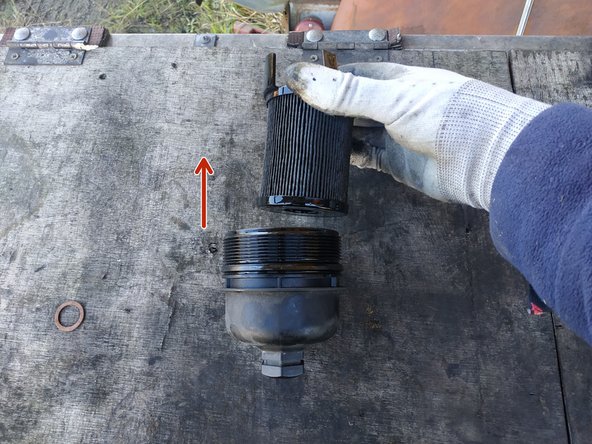 sortir le filtre de la cloche