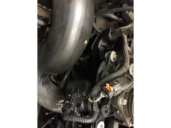 Remonter le filtre à huile en le serrant à la main et finir à la clé a sangle