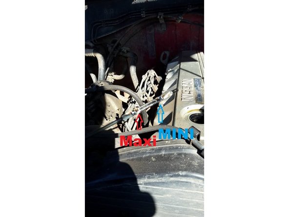 Vous pouvez enfin remplir en huile par le bouchon de remplissage en surveillant le niveau avec la jauge de temps en temps