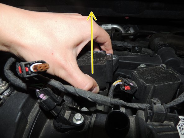 Sortir la bobine en tirant vers le haut.