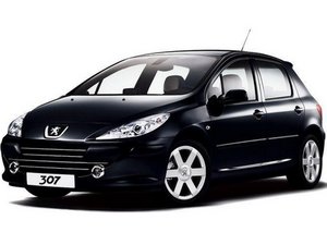 Changer les biellettes de barre stabilisatrice - Peugeot 207 - Tutoriels  Oscaro.com