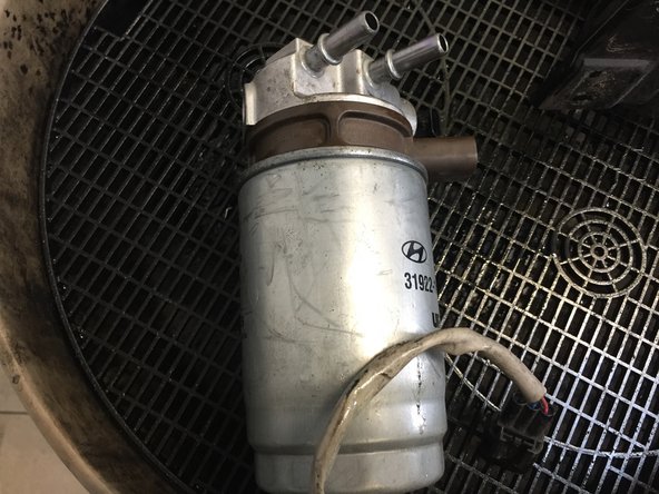 
Remove the filter from its support
