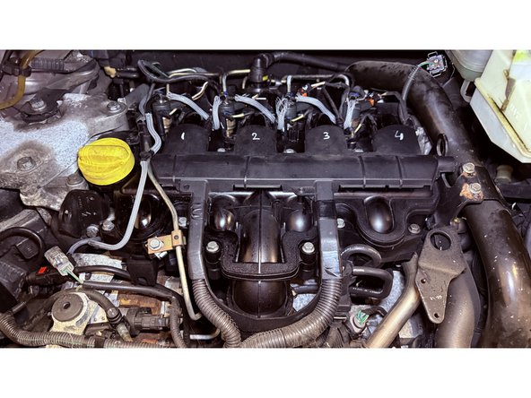 On voit maintenant les injecteurs, les puits de bougies (juste devant chaque injecteurs) ainsi que tous les faisceaux