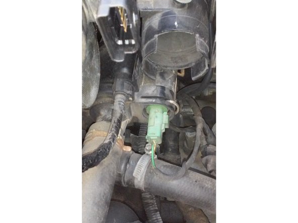 Reconnecter la sonde, prener la fiche et enfoncer la à fond jusqu'à entendre un clic