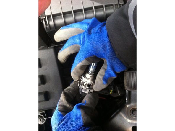 Placez vos doigts sur la base de l'ampoule et sur la fiche.