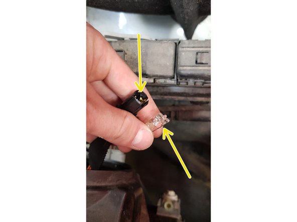 Quand vous avez sorti l'ampoule du logement, tirer délicatement dessus afin de la sortir de la connectique puis mettez en place la nouvelle ampoule.