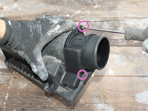 Revisser  à l’aide du tournevis torx T20 les 2 vis.