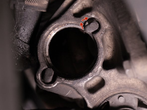 Libérer les brides en les faisant reculer puis pivoter à 180 degrés