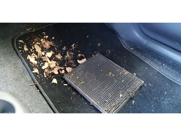 il peut être très sale !