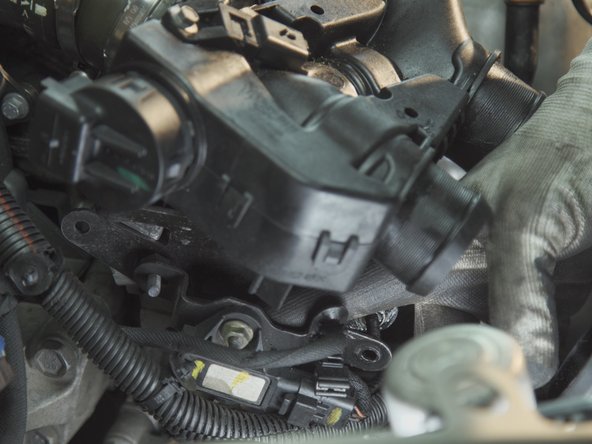 Retirer la plaque de support une fois libre