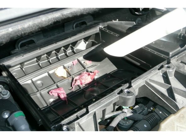 Aspirer les déchets situés au fond du boitier de filtre.