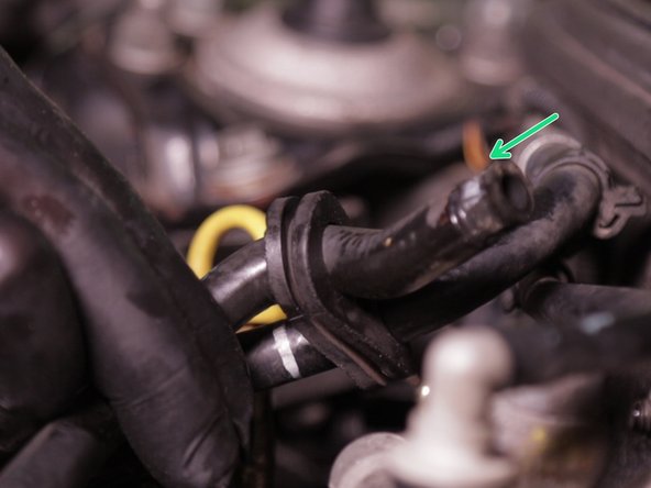 Placer le collier sur la durite