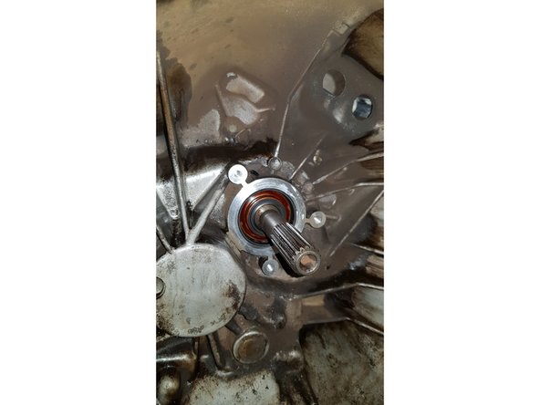 Nettoyez la portée de la butée.