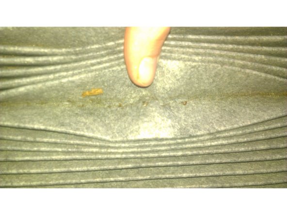 En inspectant l'ancien filtre, on voit que des poussières et des feuilles se sont fait prendre au piège à l'intérieur.