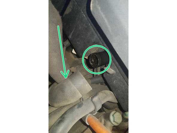 Retirez la durite en tirant dessus.