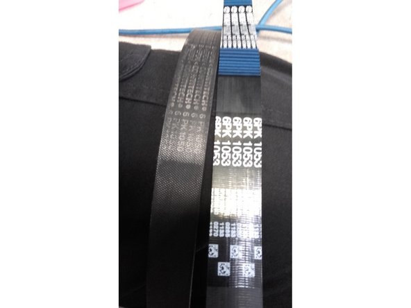 Vérifier que la nouvelle courroie corresponde à l'ancienne